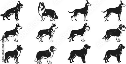 Dog Breed Silhouette Icon Set with Multiple Purebred Dogs Including German Shepherd, Collie, Doberman, and Schnauzer Vector Designs