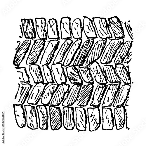 Quadro em tela Opus Spicatum (Herringbone Masonry), rectangular brick pattern with alternating dark and light shaded courses, vintage architectural illustration, 1895
