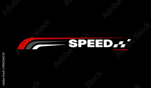 racing sport stripes or decal 
