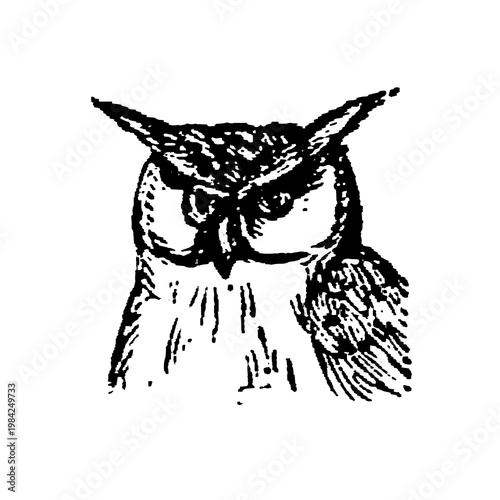 Photos Eagle Owl, detailed black and white sketch with feather patterns and sharp features, plain background, wisdom and mystery, old vintage illustration, 1897