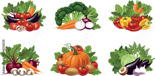Fresh vegetable compositions set with pumpkin tomato eggplant broccoli and leafy greens isolated vector illustration for healthy organic food