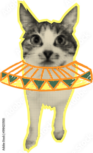 Cat in Circus Collar