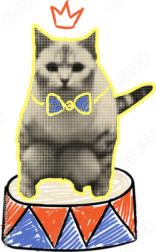 Halftone Circus Cat