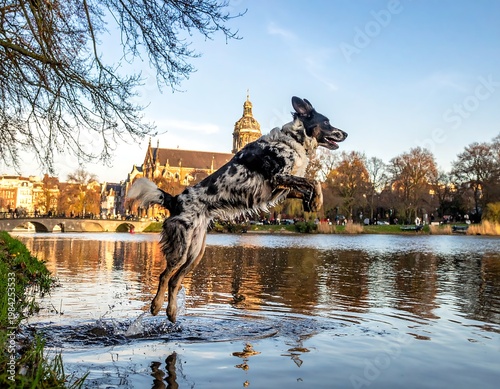 Leaping dog over water with city skyline background, bright sky