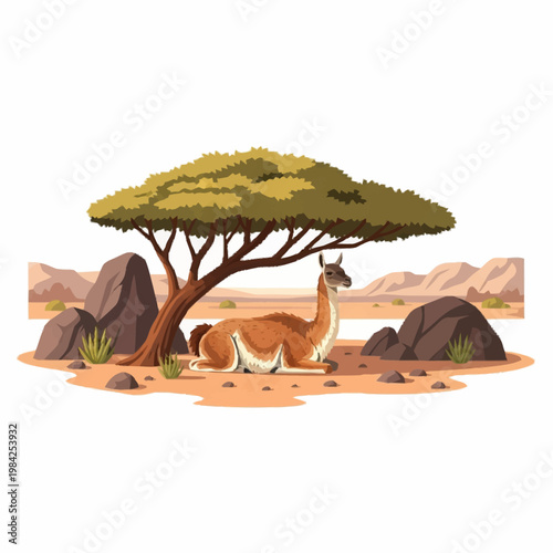 Vector illustration of a wild guanaco resting in the shade of an acacia tree in an arid desert landscape with rocks, sand, and distant mountains, isolated on white background.