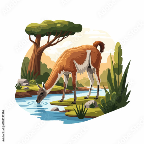 Flat style illustration of a brown and white guanaco drinking from a rippling blue river in a natural outdoor scene featuring a large green tree, shrubs, and rocks on a white background.