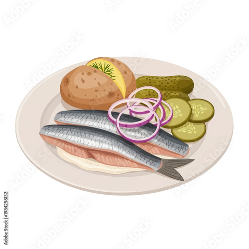 Vector illustration of salted herring fillets served with a baked potato topped with fresh dill, pickled cucumber slices, and red onion rings on a light plate, isolated on white.