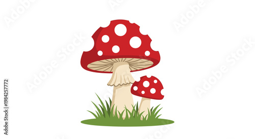 Whimsical illustration of two red and white polka dotted mushrooms also known as fly agaric standing on green grass.
