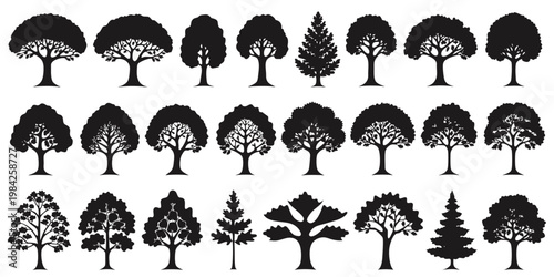 Set of assorted tree silhouettes representing various species including conifers and broadleaf trees with silhouette collection broadleaf botanical landscape isolated environment illustration