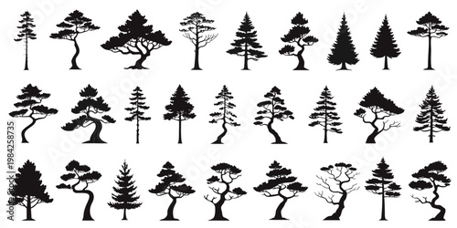 Set of detailed realistic tree silhouettes representing different species with silhouette coniferous evergreen botanical isolated illustration landscape collection detailed environment