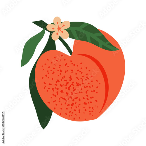 Peach with flower and green leaves isolated on white background. 