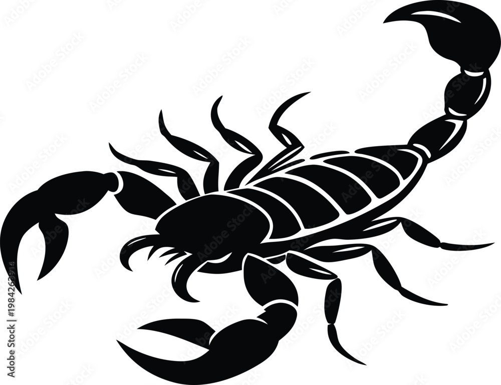 Fototapeta premium Scorpion animal insect graphic design illustration