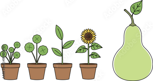 Potted Plant and Fruit Vector Set with Seedling, Sunflower, Green Foliage, and Pear Illustrations for Gardening, Botanical, and Editable Nature Digital Designs