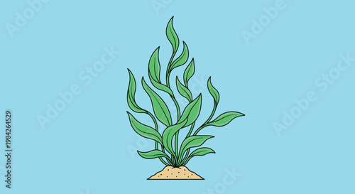 Simple illustration of green seaweed growing from a sandy patch at the bottom of a clear blue water background.