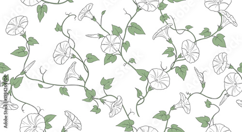 Delicate seamless pattern with morning glory flowers, vines, and green leaves in a hand drawn line art style on white.