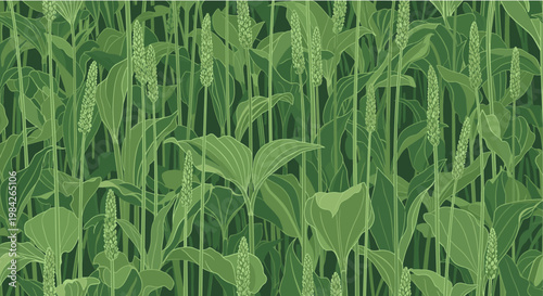 Realistic dense pattern of green wild grass and ripening seed heads forming a lush meadow or pasture background for nature concepts.