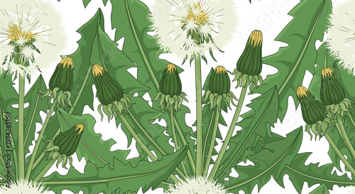 Detailed pattern of fluffy white dandelion clocks and green buds with jagged leaves on a white background for spring floral themes.