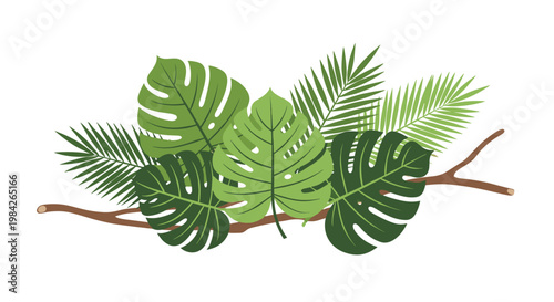 Decorative arrangement of tropical Monstera and palm leaves on a wooden branch isolated on a white background for exotic decor.