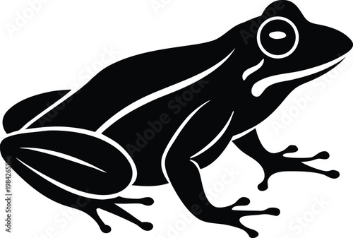 Frog amphibian animal wildlife vector graphic illustration
