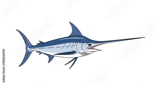 Sleek swordfish with a long pointed bill and blue shading illustrated swimming in the ocean on a white background.
