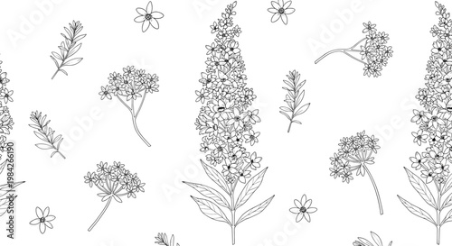 Elegant black and white hand drawn pattern of various wildflowers and grasses on a white background in a vintage botanical style.