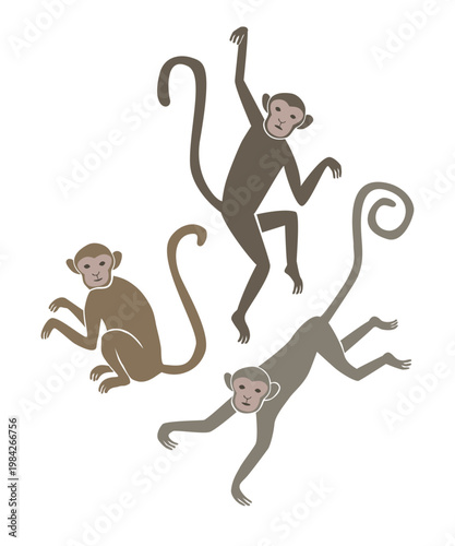 Three monkeys sitting, hanging and jumping.