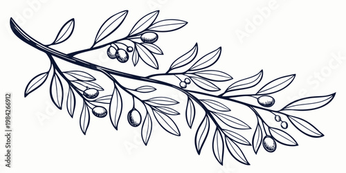 Line art drawing of an olive branch with leaves and fruit botanical illustration isolated monochrome agriculture ingredient mediterranean artistic minimalist decorative