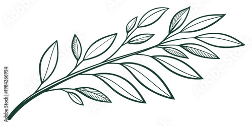 Elegant minimalist hand drawn leafy branch line art with botanical illustration minimalist decorative isolated background ornamental greenery decoration wallpaper