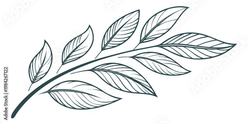 Minimalist botanical branch motif with detailed leaf texture botanical illustration sketched environment isolated decoration ornament backdrop wallpaper abstract