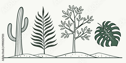 Set of different plant icons including a cactus palm leaf deciduous tree monstera leaf in a decorative graphic style with monstera botanical illustration tropical collection