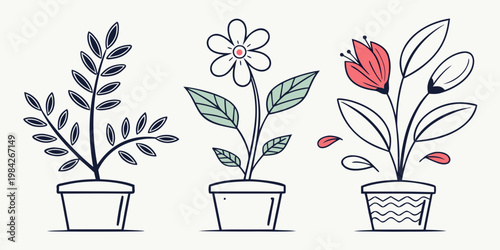 Three potted plants with decorative foliage and flowers illustrated in a clean line art style for home decor and garden concepts botanical illustration houseplant container