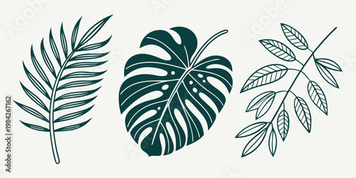 Set of three tropical palm and monstera leaves line art illustration with nature inspired monstera tropical botanical illustration collection minimalist isolated creative