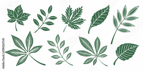 Collection of various green botanical leaf illustrations with botanical illustration collection stylized isolated decorative minimalist structure environment backdrop