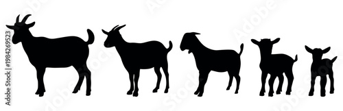 Goat evolution silhouettes vector set. Goat silhouettes vector set. set of animal silhouettes. set of animals silhouette vector