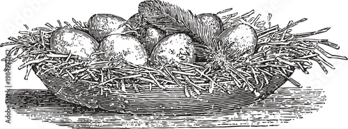 vintage illustration of a bird nest with eggs and a feather in natural straw bedding