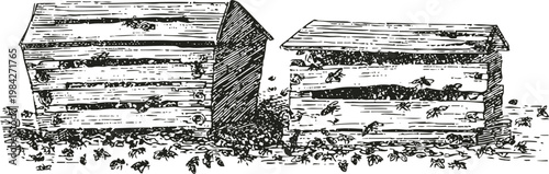 Beekeeping wooden hives with bees flying around in a natural outdoor setting