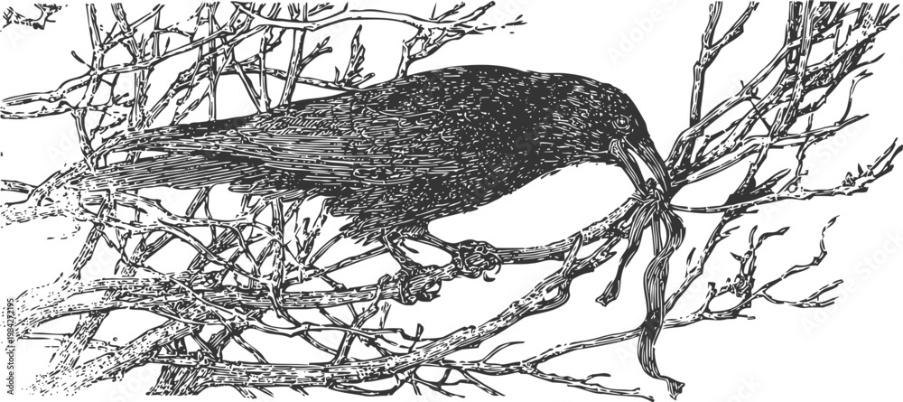 Obraz premium Black raven perched on leafless tree branches holding a snake in its beak, detailed ink drawing