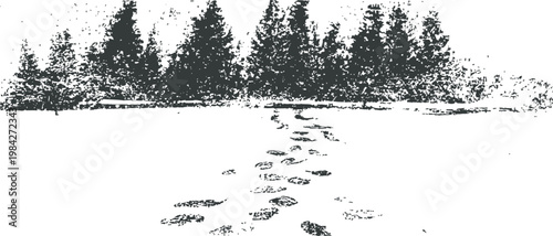 footprints in snow leading to dense evergreen forest trees in winter landscape