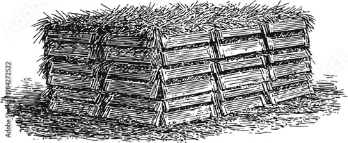 Stacked wooden crates filled with hay, rustic farm storage vintage illustration