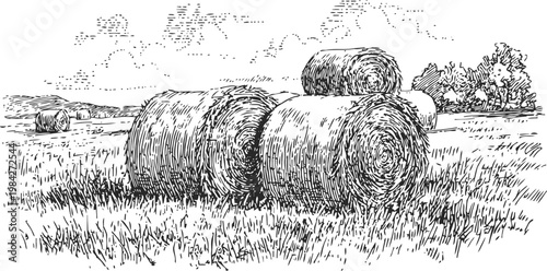 Ink drawing of hay bales in grassy field with distant trees and cloudy sky background
