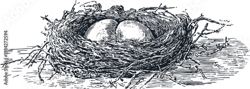 Bird nest with two eggs hand drawn vintage nest made of twigs and leaves