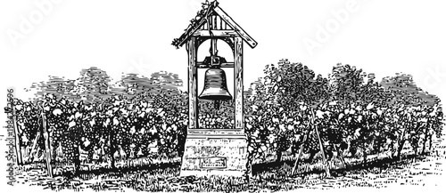 Historic vineyard bell tower standing among grapevines in a scenic agricultural landscape