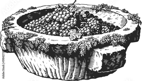 Large rustic wooden bowl filled with ripe grapes and grapevine leaves, vintage fruit harvest illustration
