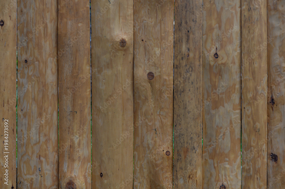 Fototapeta premium Vertical Wooden Boards with Natural Texture and Knots