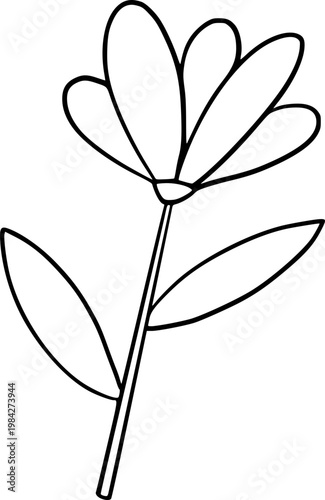 Hand Drawn Flower Outline Illustration