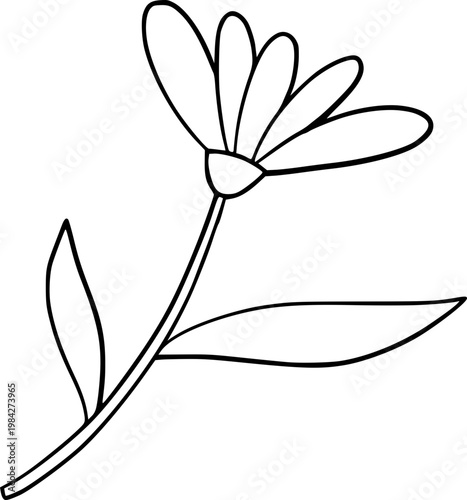 Hand Drawn Flower Outline Illustration