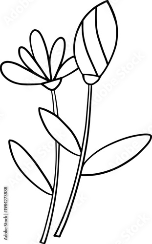 Hand Drawn Flower Outline Illustration