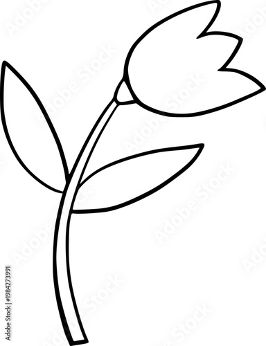 Hand Drawn Flower Outline Illustration