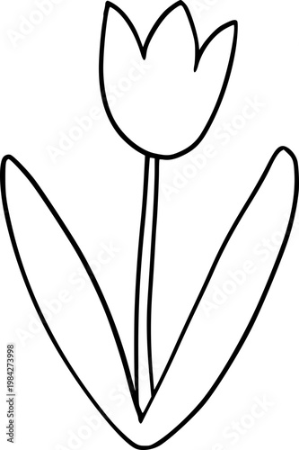 Hand Drawn Flower Outline Illustration