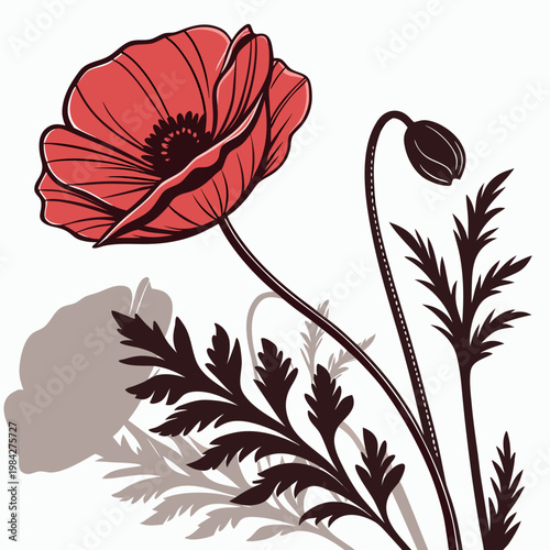 An exquisite illustration highlights a prominent poppy bloom accompanied by a developing bud and a subtle background shadow.